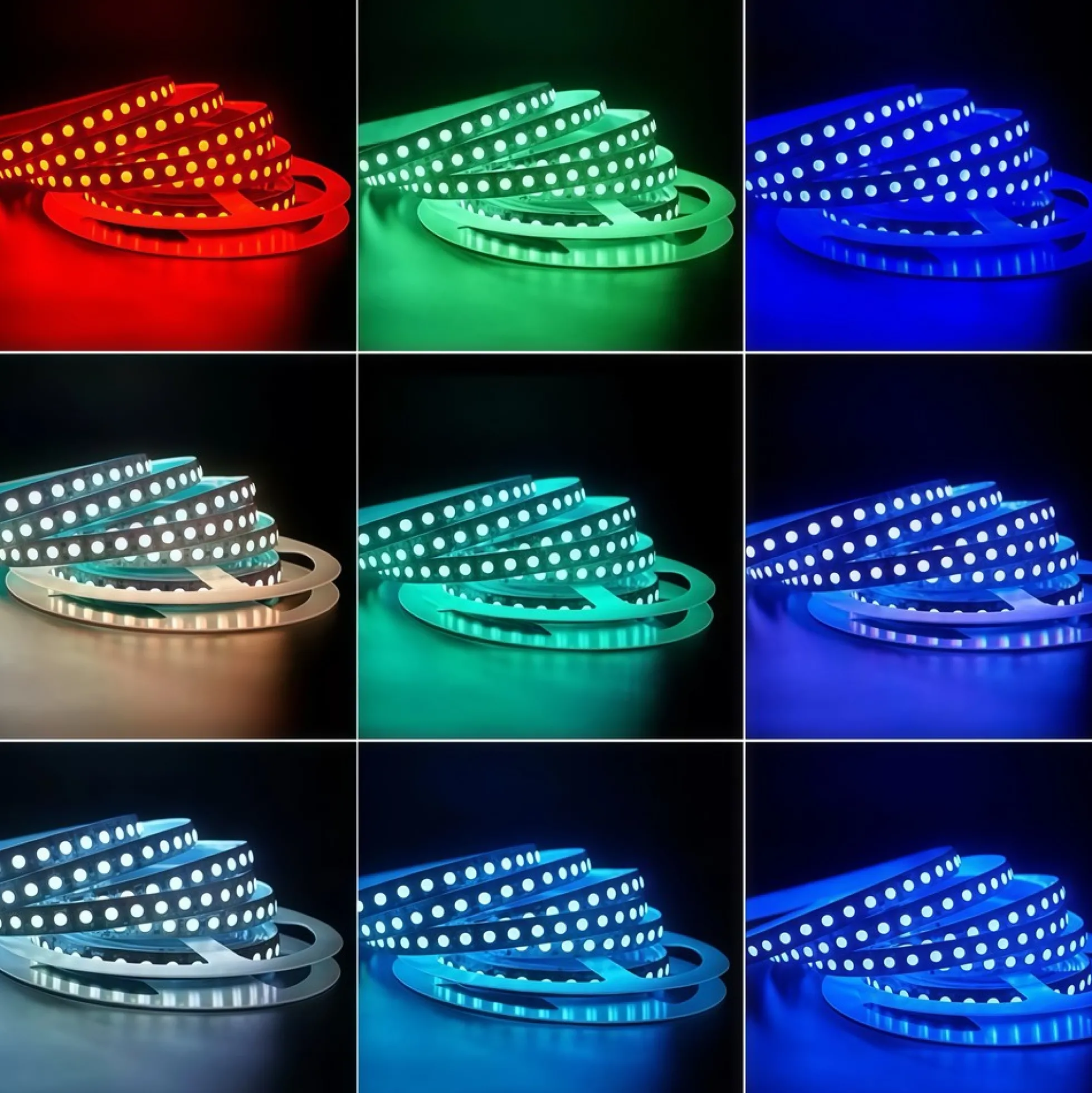 12W/m RGB+WW LED strip, 5 meter, IP65, 60 LED pr. meter, 24V